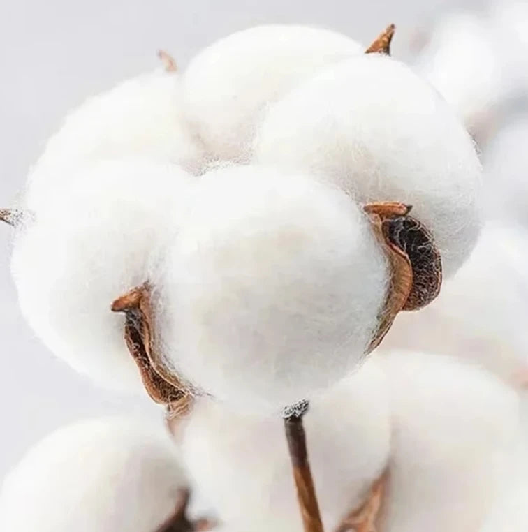 ALMASTRONG Gothic Print T-Shirt – Trendy Casual Tee for Men & Women