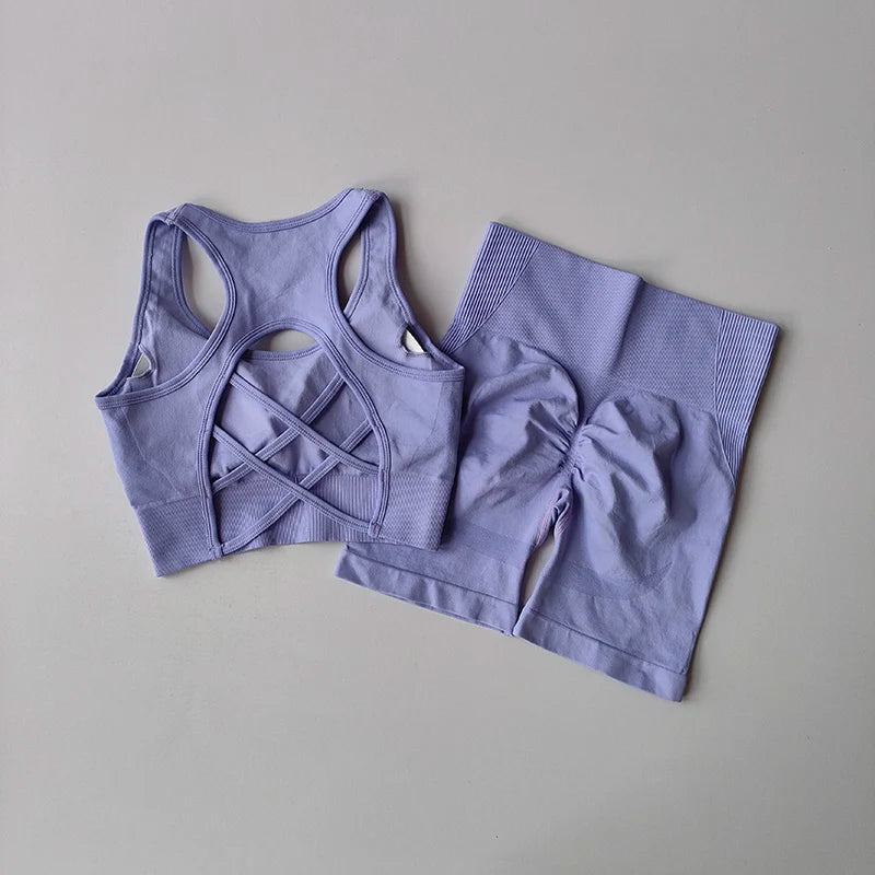 Seamless Yoga Set for Women, Sexy Sport Bra, High Waist Sports Shorts